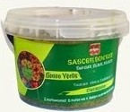 Pot Sauce Verte